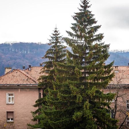 Quibio Apart Terrace Brasov Exterior photo